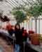 Andrea in greenhouse
