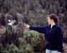 feeding birds